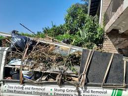 Best Dumpster Rental Services  in Aurora, IN